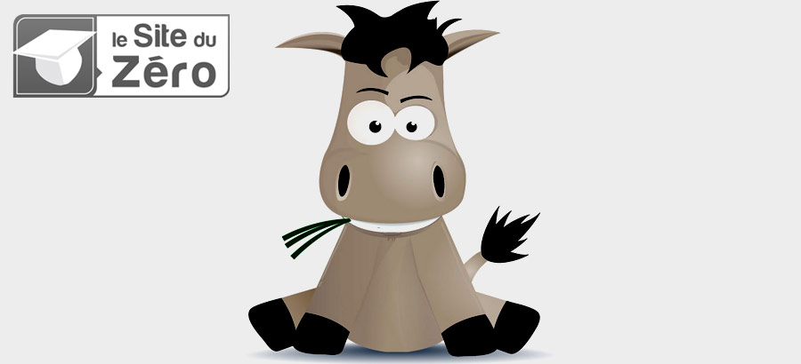 Le Site du Zero Le Site du Zero